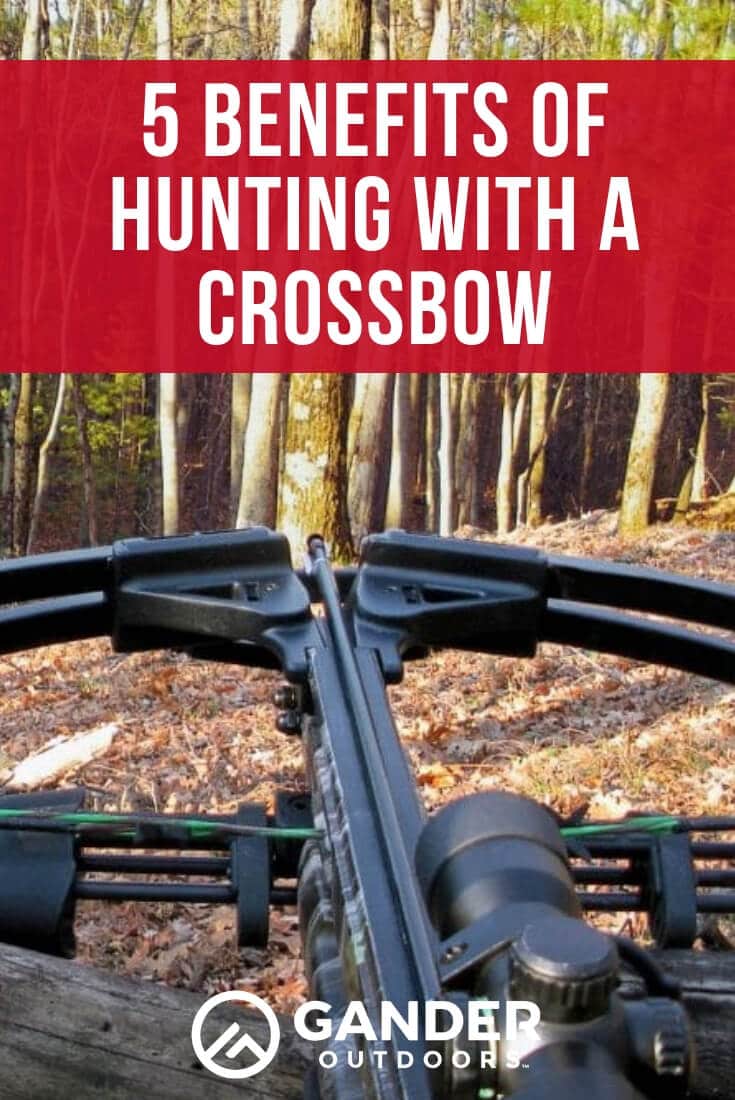 5 Benefits of Hunting with a Crossbow Gander RV