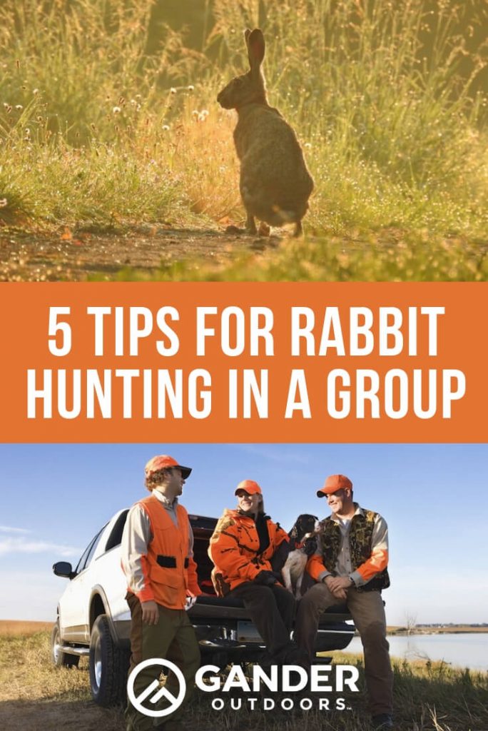 5 Tips for Rabbit Hunting in a Group Gander RV