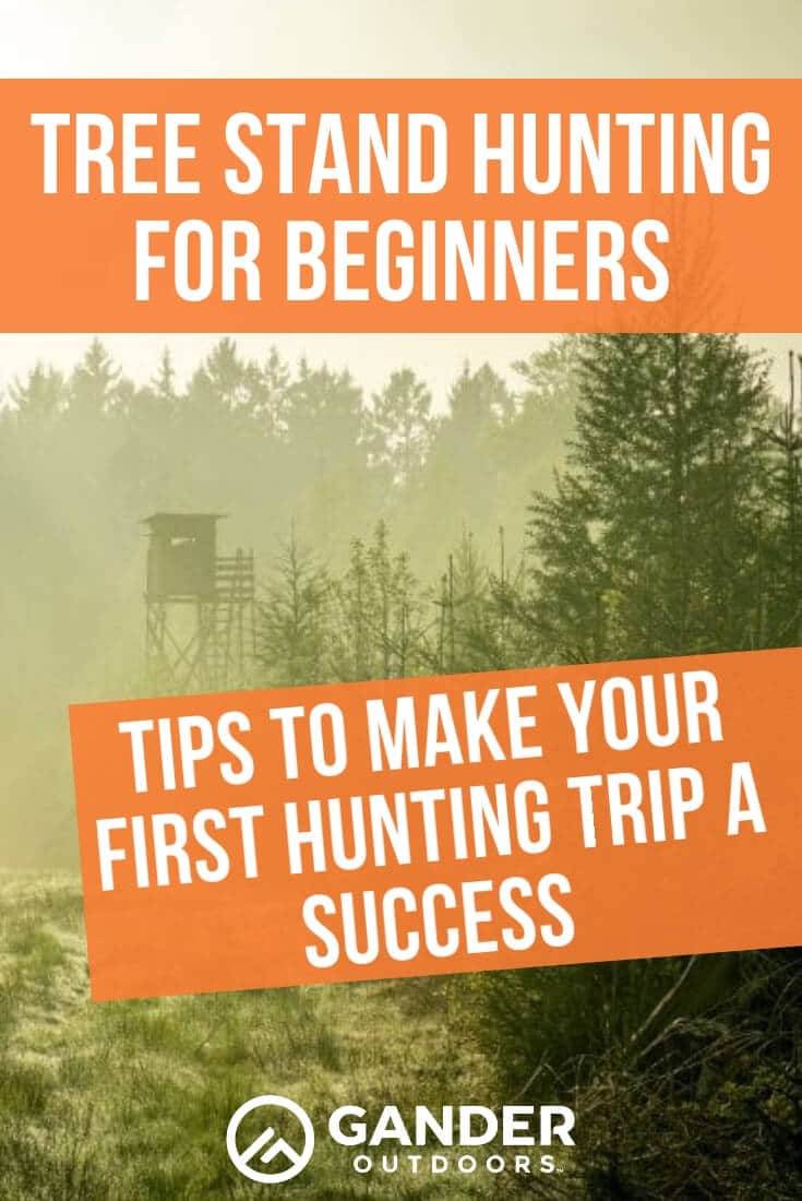 Tree Stand Hunting for Beginners Tips & Tricks