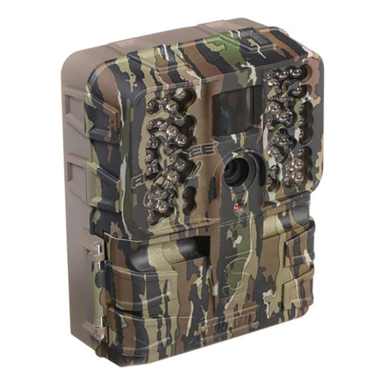 The Best Trail Cameras for Deer Hunting Gander RV
