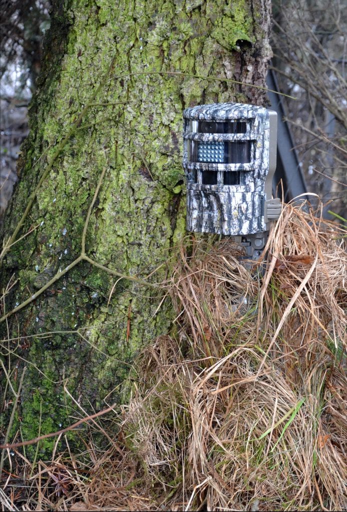 The Best Trail Cameras for Deer Hunting Gander RV