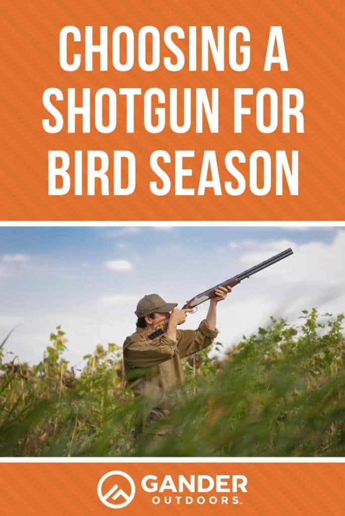 Choosing a Shotgun for Bird Season Gander RV