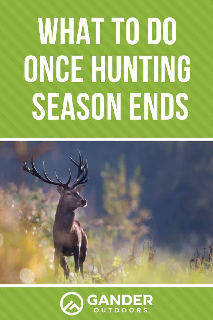 What to Do Once Hunting Season Ends Gander RV