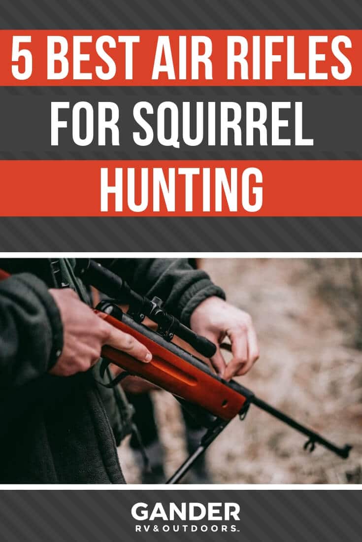 5 Best Air Rifles for Squirrel Hunting Gander RV